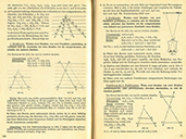 Mathematik Arbeitsbuch Klasse 9 – Strahlensätze