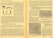 Lehrbuch Physik – Band II – das Magnetfeld