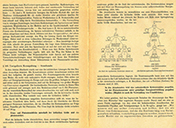 Lehrbuch Physik – Band II – die Atombombe