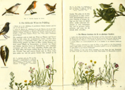  Lehrbuch Die Natur / Band 1 – Frühling