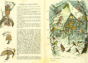  Lehrbuch Die Natur / Band 1 – Vogelfütterung im Winter