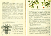  Lehrbuch Die Natur / Band 1 – Veredelung und Beerensträucher
