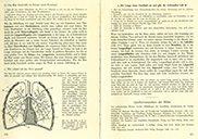 Lehrbuch Die Natur / Band 1 – Herz und Lunge