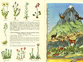 Lehrbuch Die Natur / Band 2 – Tiere und Pflanzen im Gebirge