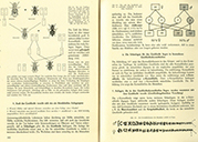 Lehrbuch Die Natur / Band 3 – Vererbungslehre und Chromosomen